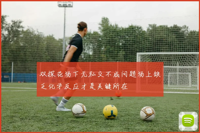 双探花场下无私交不成问题场上缺乏化学反应才是关键所在