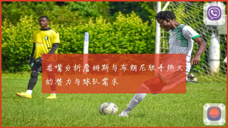 名嘴分析詹姆斯与布朗尼联手热火的潜力与球队需求