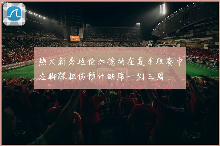 热火新秀迈伦加德纳在夏季联赛中左脚踝扭伤预计缺席一到三周